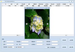 编程小菜的软件开发记